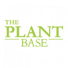 THE PLANT BASE